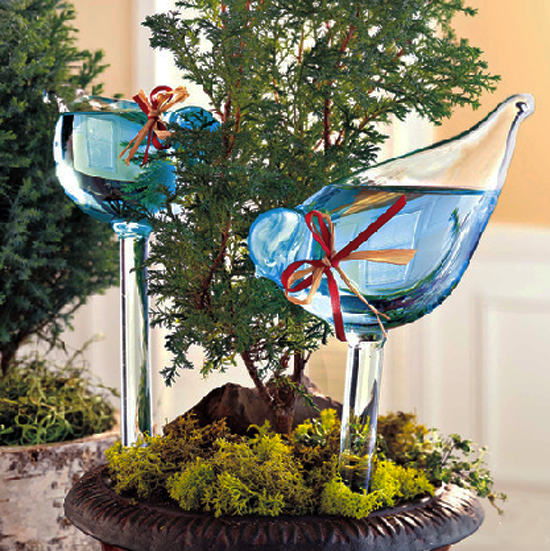 best herbs to grow indoors at home