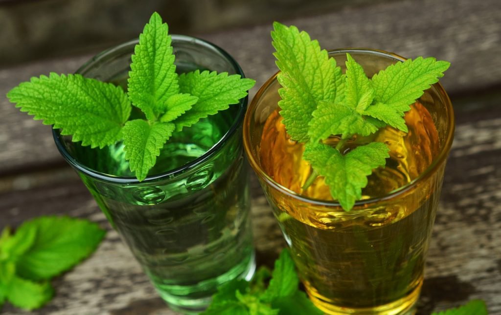 Lemon balm