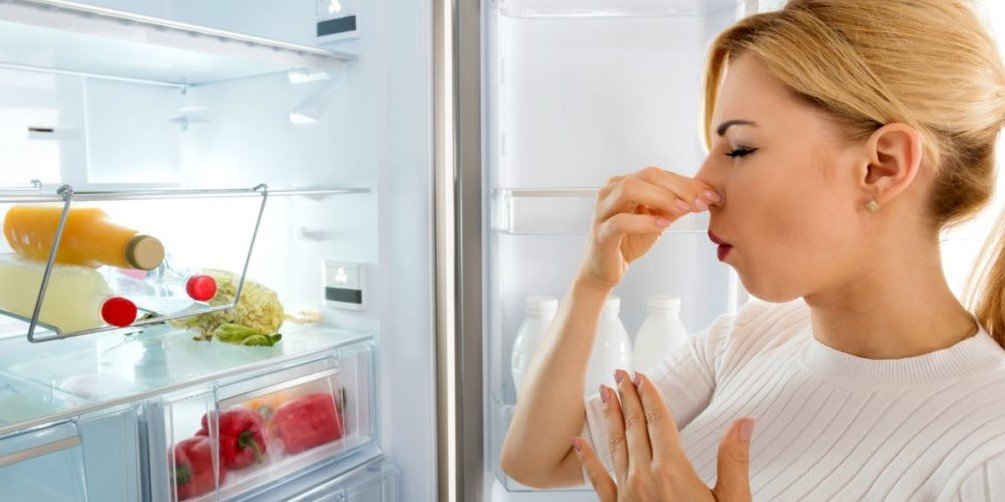 How To Clean a Refrigerator That Smells