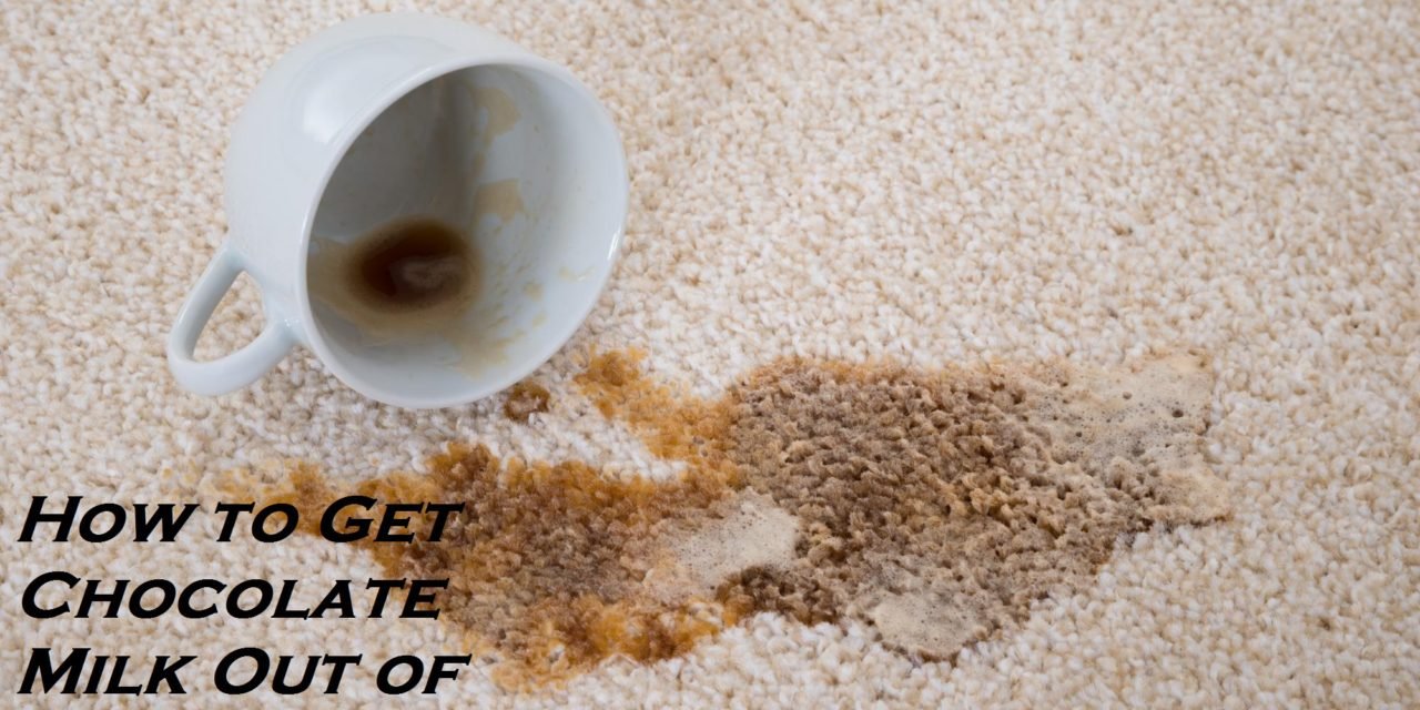 How To Get Chocolate Milk Out Of Carpet Homeaholic how-to-get-chocolate-milk-out-of-carpet-homeaholic