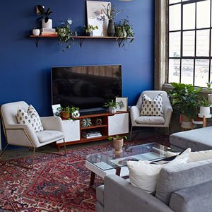 Living Room Decor