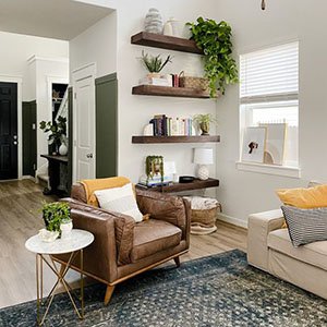 Living Room Decor