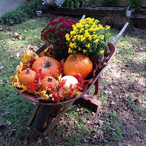 Fall Outdoor Decor