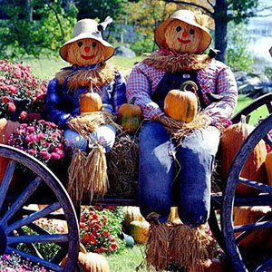 Fall Outdoor Decor