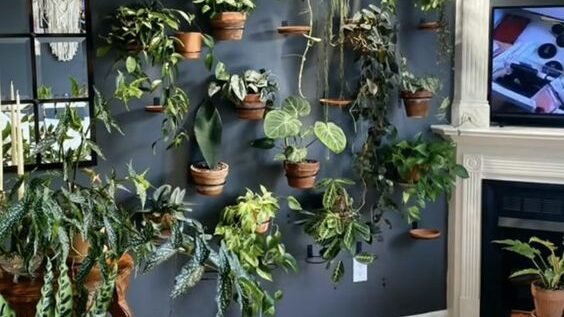 Maximalist Home Decor Ideas