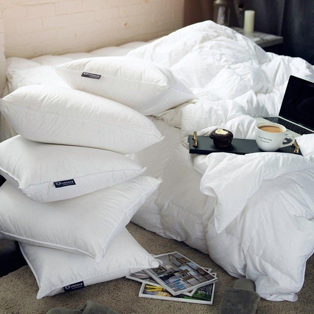 Down Pillows 