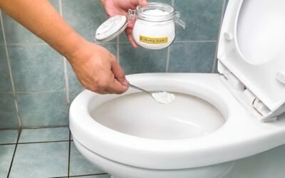 How to Unclog a Toilet with Baking Soda